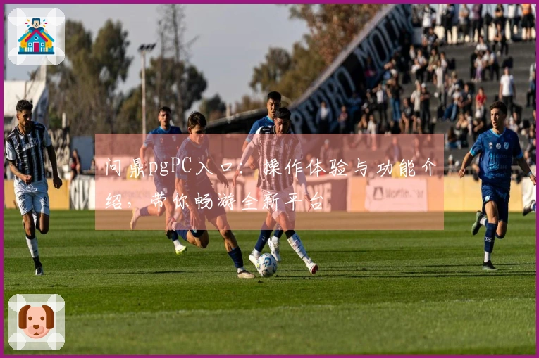 问鼎pgPC入口:操作体验与功能介绍,带你畅游全新平台