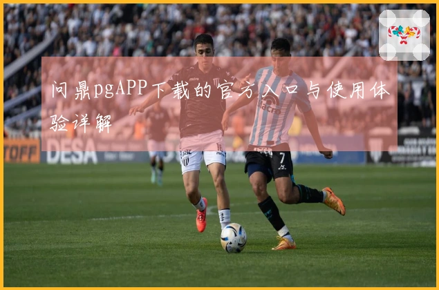 问鼎pgAPP下载的官方入口与使用体验详解