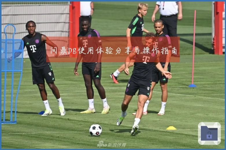 问鼎pg使用体验分享与操作指南