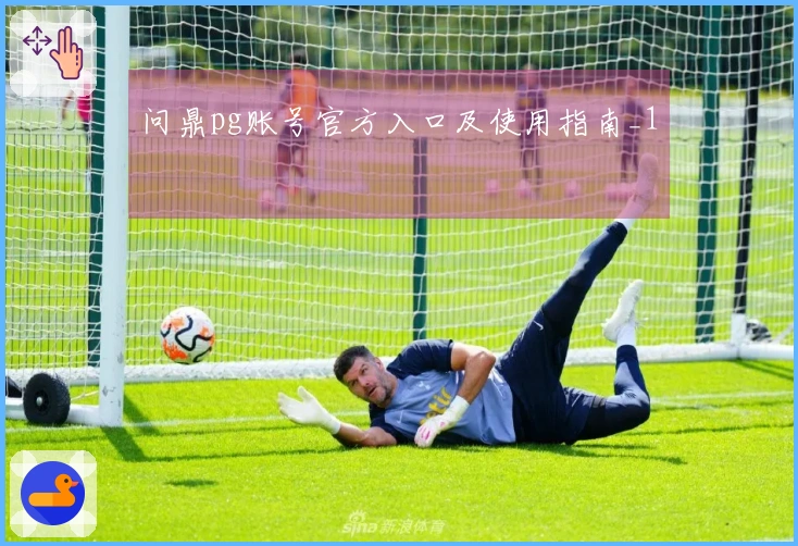 问鼎pg账号官方入口及使用指南_1