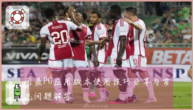 问鼎PG应用版本使用技巧分享与常见问题解答